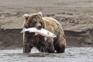 AdobeStock_57279947-1600x1600
