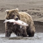 AdobeStock_57279947-1600x1600